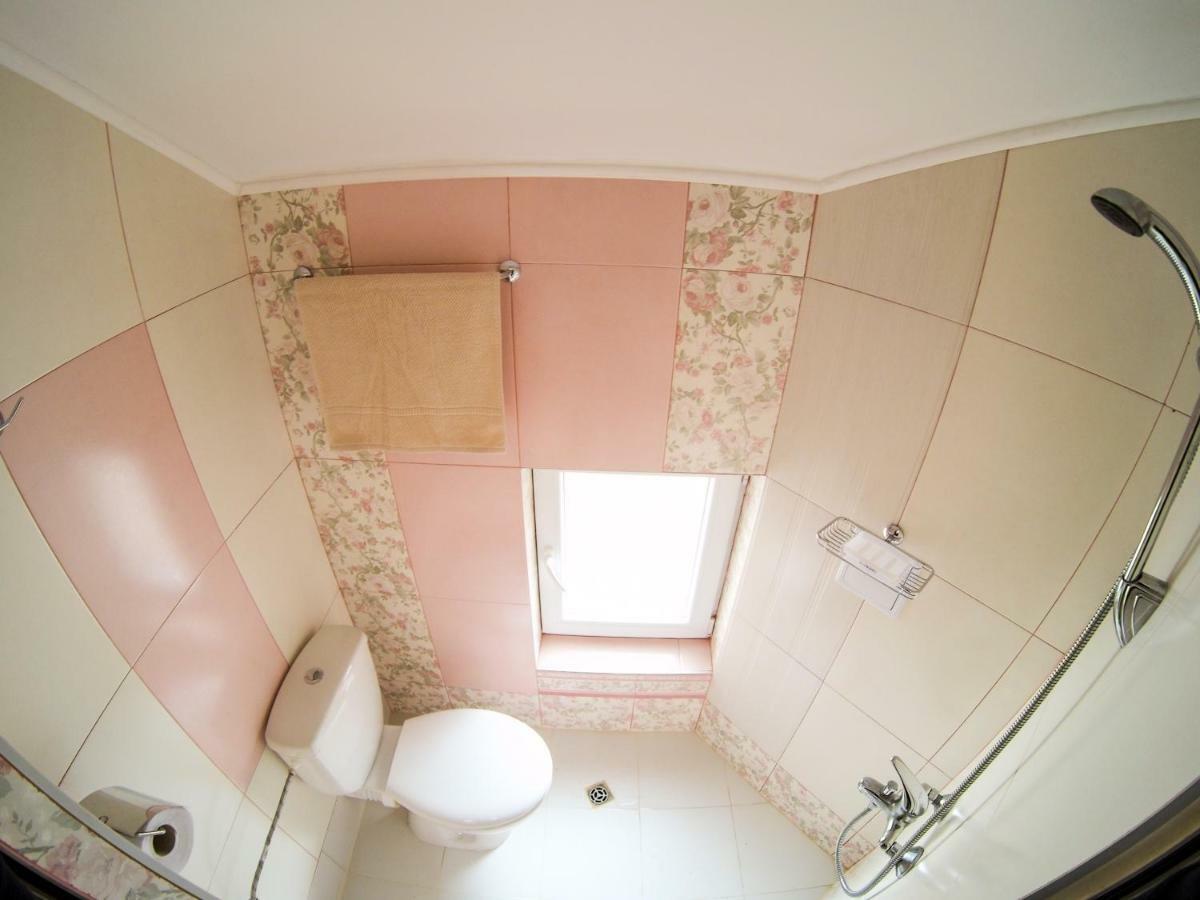 Vitosha Blvd - Attic * Sofia